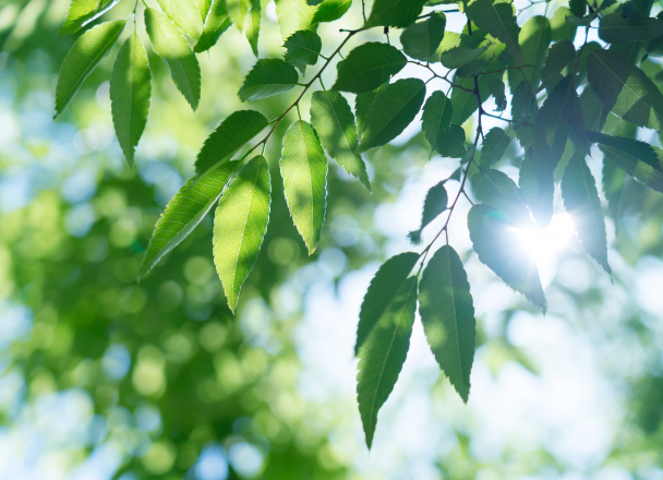 センコ産業 | 季節ごとの太陽の角度を計算し、夏は涼しく、冬は暖かい家に。